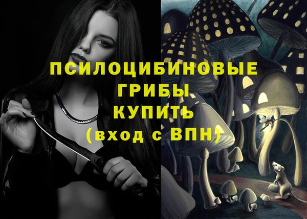 МДПВ Верхний Тагил