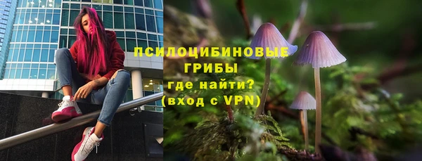 дурь Володарск