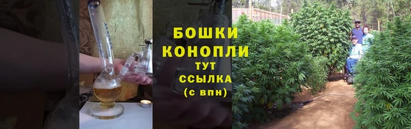 дурь Володарск