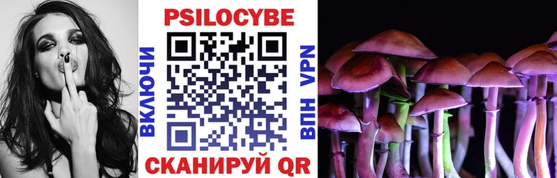 blacksprut зеркало  Гаврилов-Ям  Псилоцибиновые грибы прущие грибы 
