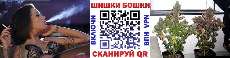 Бошки Шишки план  Гаврилов-Ям 
